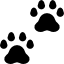 huellas-de-garras