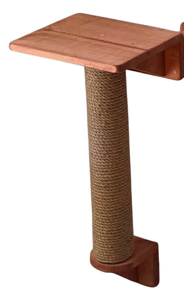 RASCADOR DE 50CM + REPISAS + BASE