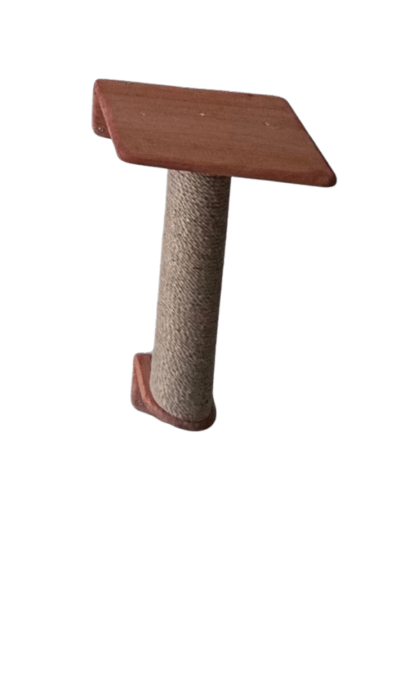 RASCADOR DE 50CM + REPISAS + BASE
