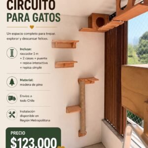 Circuito #1